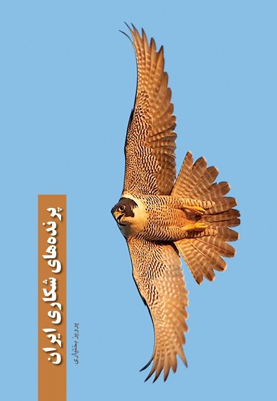 پرنده های شکاری ایران